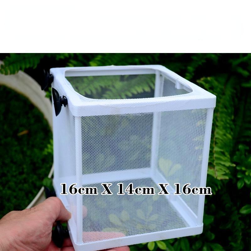 Inside The Fish Tank Fish Seedlings Are Kept In Isolation Net Breeding Box