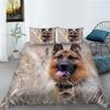 3D Digital Printing Bedding Set Bedroom Quilt Cover Pillow Cover Home Bedding Set AU/EU/US Full Size Single/Double Bed