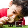 XXTOYS Set of Mineral Gemstone Natural Ore Natural Rock Mineral Geology Science Kids Gift 250-Piece Specimens, Toys, Fossils, Geodes, Fossils, &