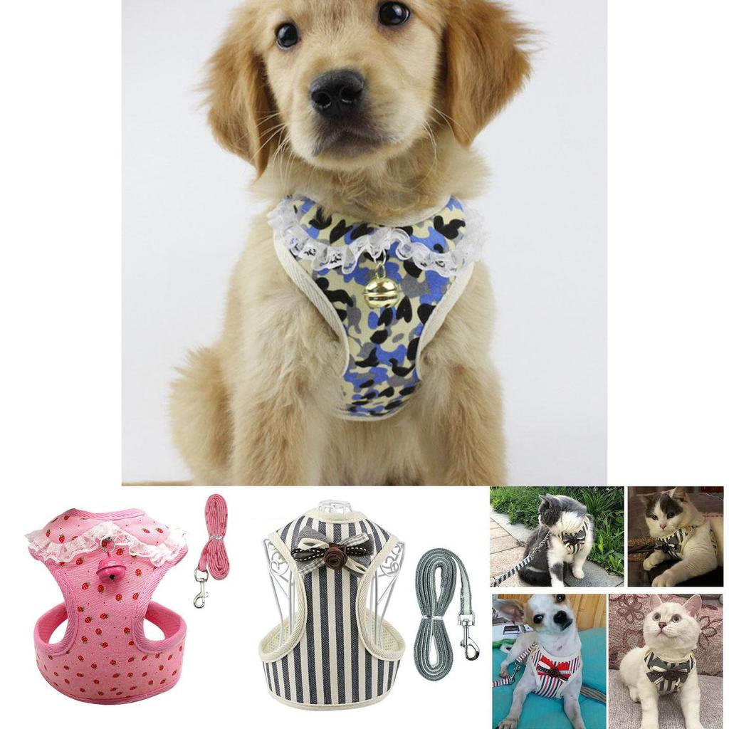 Soft And Breathable Mesh Dog Harness Vest With Matching Leash For Small Medium Pets