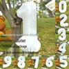 32-Inch Birthday Number Balloons - Aluminum Film Party Decorations & Photo Props