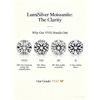 S925 Sterling Silver Snowflake Necklace for Women Versatile High-End Feel Moissanite Pendant Silver Collarbone Chain Gift