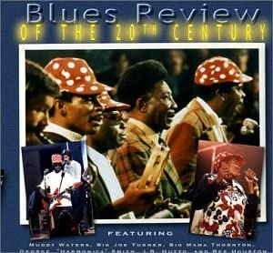 

CD VARIOUS - Blues Revue Of The 20th CENTURY PCD24083 TOPCAT US Music Others Used