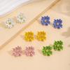 Frühling Sommer Frische Super Unsterblich Vielseitig Temperament Dopamin Bunte Daisy Blume Ohrringe Für Frauen