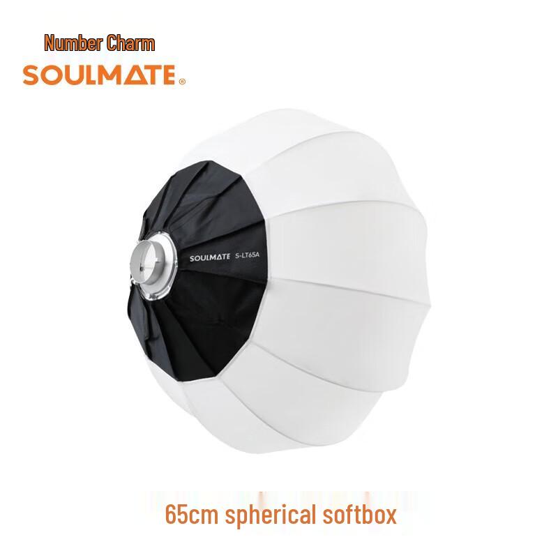 SOULMATEE200 Professional LED Studio Light Kit