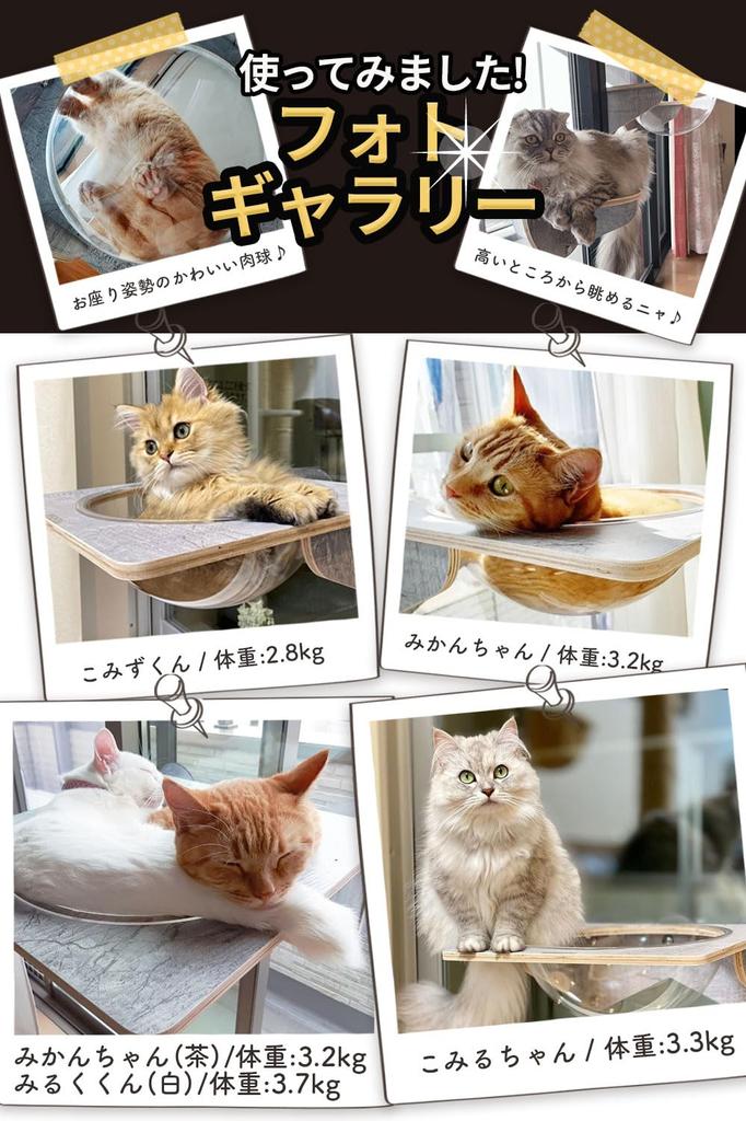 POOKIE Cat Window Hammock Skeleton Window Bed Mini Step Cat Tower Suction Cup Installation of [Set 3]