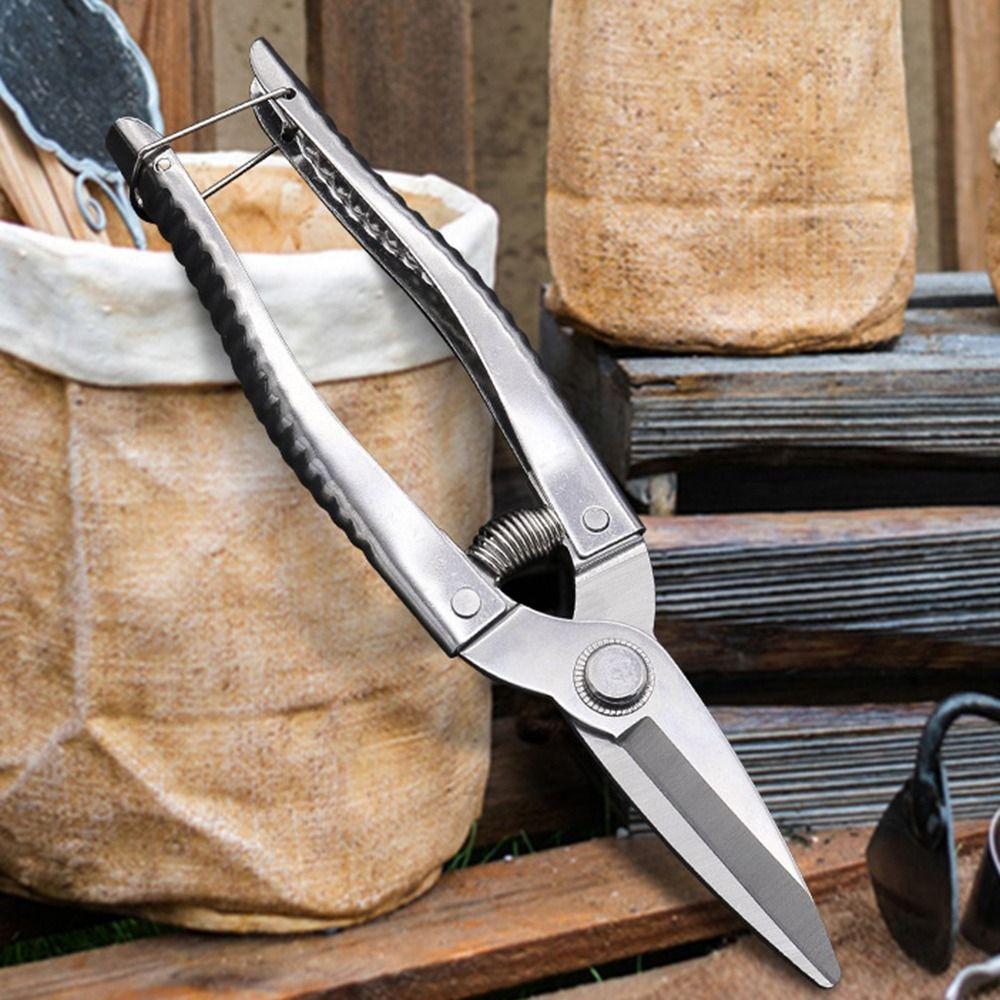 With Automatic Return Spring Branch Shears Garden Branch Shear Gardening Plant Flower Pruning