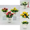 Camellia Sp Green Plant Indoor Decor With Plastic And Silk For Home And Wedding Use