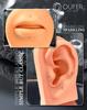 OUFER Body Piercing 20G Push-in Lip Stud Titanium Nose Stud 5681012mm Threadless Label Piercing Jewelry Trag Conch Lobe Piercing Bar