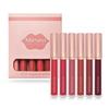 JYL 6-pack Lip Gloss Set with Matte Lip Gloss and Non Fading Lipstick