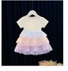 Summer 2025 Girls' Korean Rainbow Patchwork Mesh Princess Dress