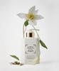 [Natural Scent Body Care] Perfume Body Lotion + Wash (4 Types)