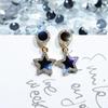 925 Silver Four-Leaf Clover Star Earrings, Korean Style, Slim Design for Women