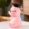 Cute Graduation Bear Plush Toy Graduation Season Bear Animal Doll Doctor Bear Doll  Students Gift