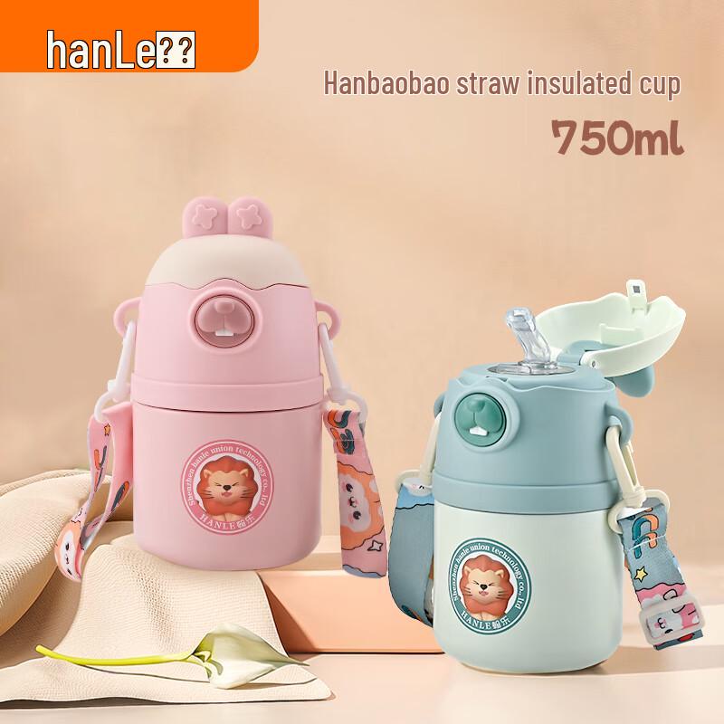 Hanle HL-HBB316 316 Stainless Steel Kids Straw Thermos