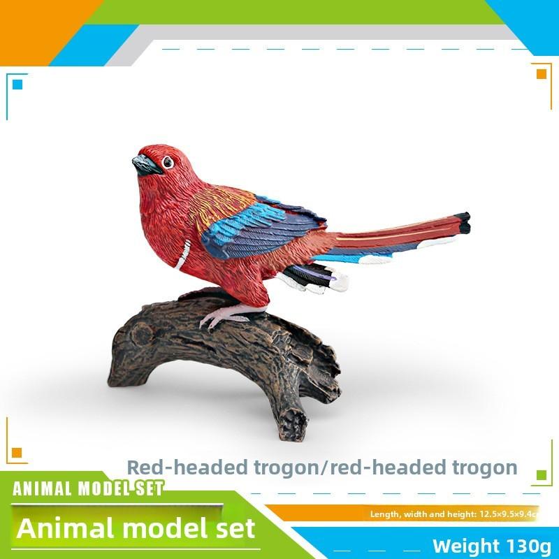 Jungle Trogonidae Replica With Static Design For Childrens Room Decoration And Education Red