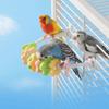Bite Resistant Bird U-shaped Station Frame Color Flower Beak Grinding Rack  Cage Accessories