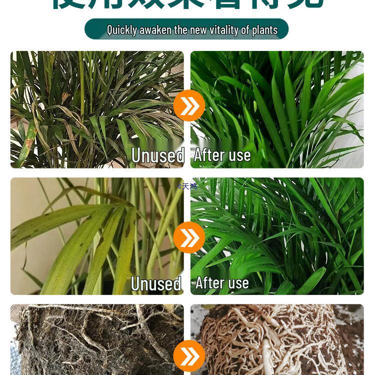 Dattelpalme & Fuchsschwanzbambus Dünger: Hydroponische Nährlösung für den Innenbereich für Zimmerpflanzen im Topf