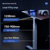 Loctek Black Warrior Max Electric Standing Desk