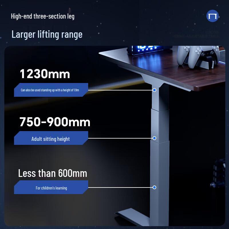 Loctek Black Warrior Max Electric Standing Desk