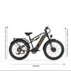 LANKELEISI Electric Bicycle MG800MAX 2000W Dual Motor 48V20AH Battery Hydraulic Brake E-bike 26*4.0-In Fat Tire Snow Aldult Electric Bike