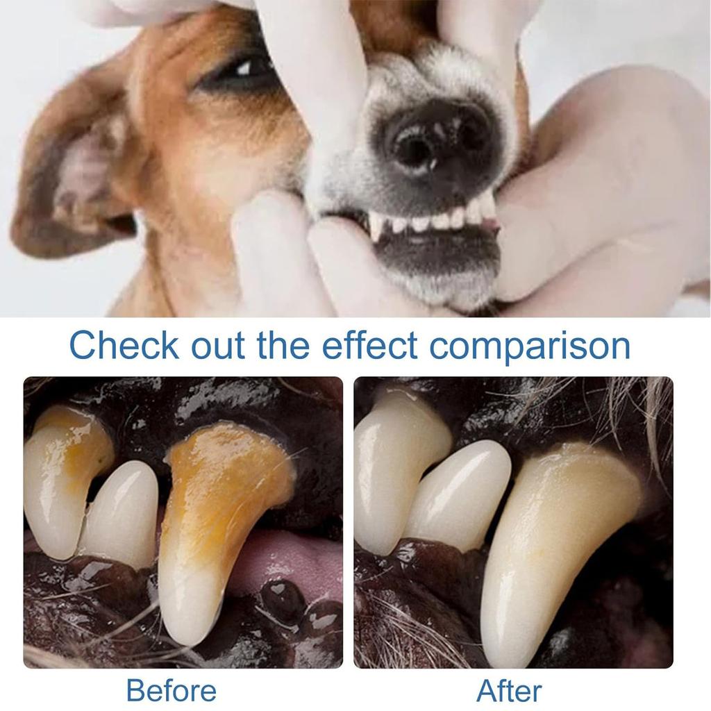 60ml Pet Oral Tartar Remover Spray Dogs And Cats Oral Cleanse Foams Dental Dirt Remover for Dogs & Cats Support Healthy Gums
