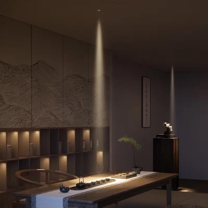 Xuan Yong Black Recessed LED Spotlight