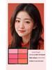 Six-Color Blush Palette: Large Multi-Tone Rouge for Makeup Artists and Students - Ideal for Studio and Stage.