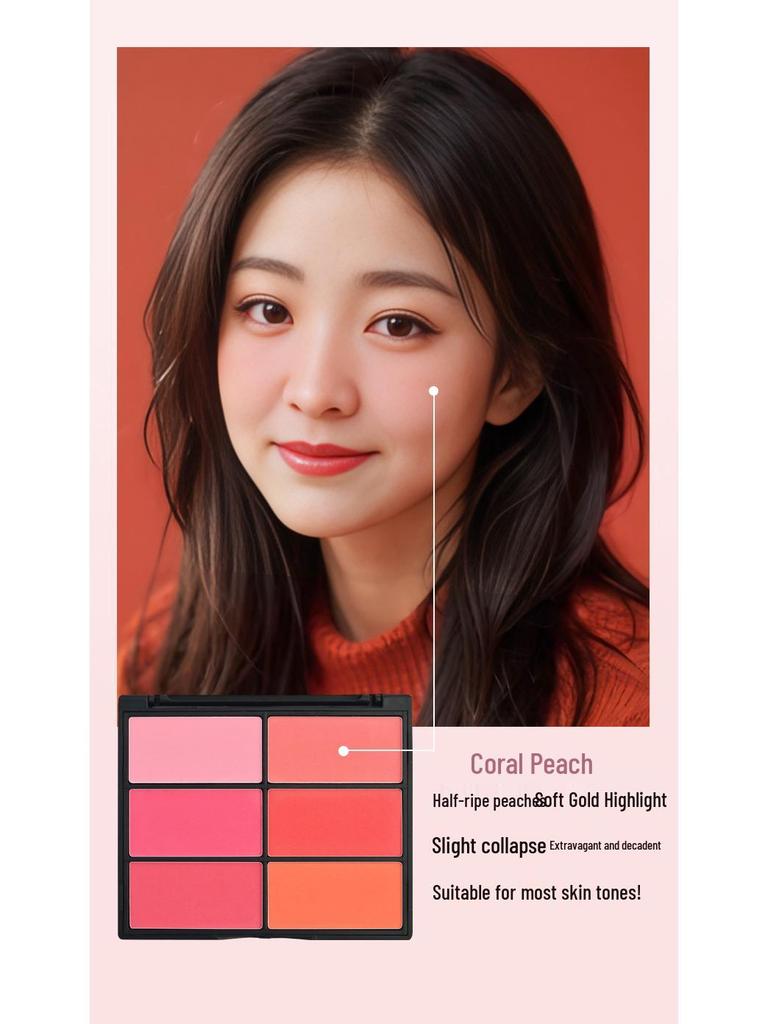 Six-Color Blush Palette: Large Multi-Tone Rouge for Makeup Artists and Students - Ideal for Studio and Stage.