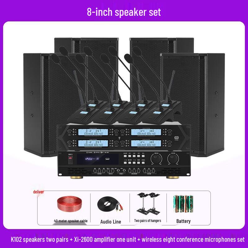 QIASHENG Professional Conference Room & Stage Audio System CN plug (adapter included)