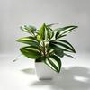 Desktop Ornament Home Decor Ring Plastic Green 1 Pc