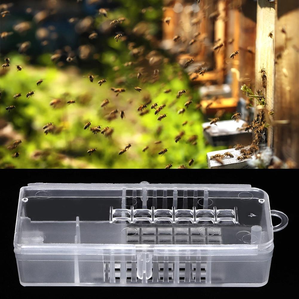 10pcs Plastic Beekeeping Rearing Cup Kit Bee Cages Beekeeper Equipment Tools