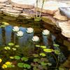5 Stück Künstliche Lotusblumen Dekoration Schwimmende Künstliche Lotusblumen für Wassergärten Teiche Brunnen Aquarien Terrassen Heimdekoration