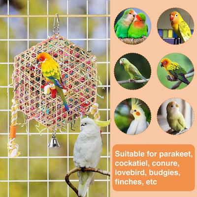 Šestiúhelníkový přívěsek Hračka pro shánění potravy pro andulky Korely Conures