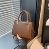 Elegant Medium Sized Square Shoulder Crossbody Bag With Chic Street Style Design