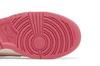Nike Dunk Low Next Nature Aster Pink (Women's)