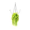 Morning Wall Hanging Simulation Rattan Artificial Flower Home Outdoor Garden Decoration