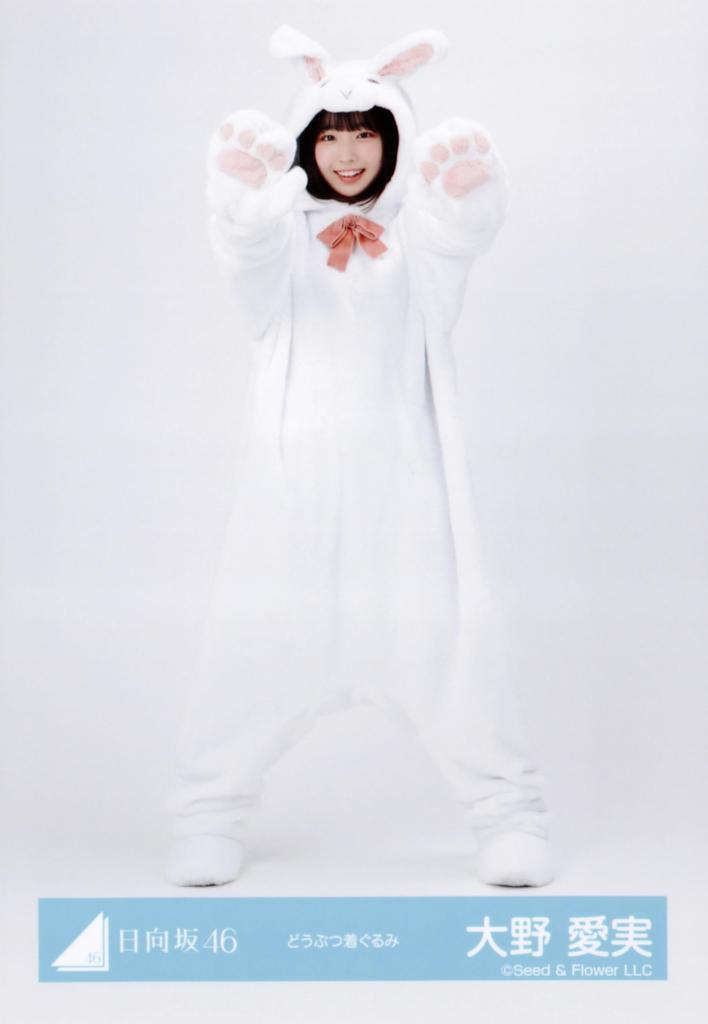 Hinatazaka46 Raw Photo Animal Costume 4 Types Complete Set Ohno Manami