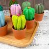 Decorative Artificial Plant for Office Handmade Cactus Ornaments, Soft Fabric Potted Desk Small Succulents Decor Decor, No Watering Mini Desktop
