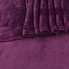 Minky fleece eggplant