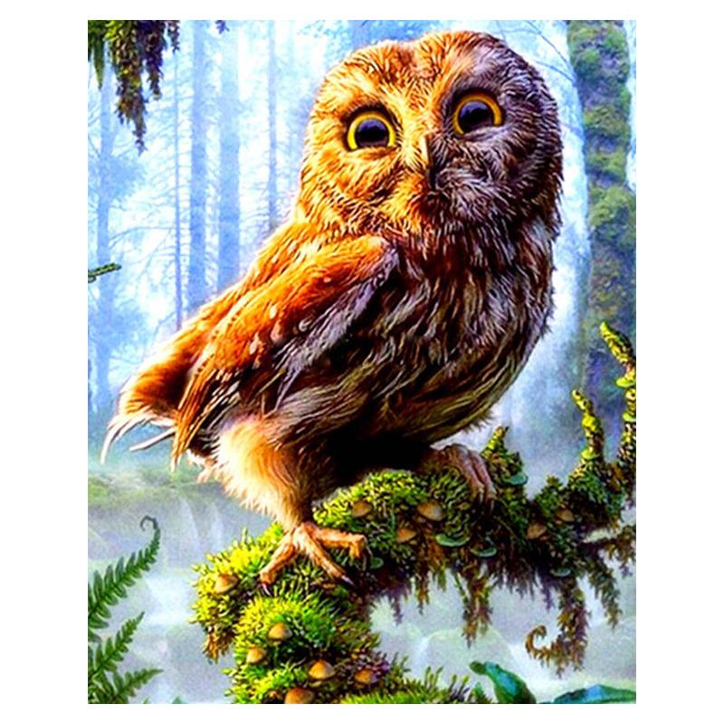 5D DIY Διαμαντοζωγραφική Κουκουβάγια Κιτ Σταυροβελονιάς Πλήρης Τρύπα Στρογγυλή Κέντημα Μωσαϊκό Κινούμενα Σχέδια Τέχνη Εικόνα από Στρας Διακόσμηση Δώρο