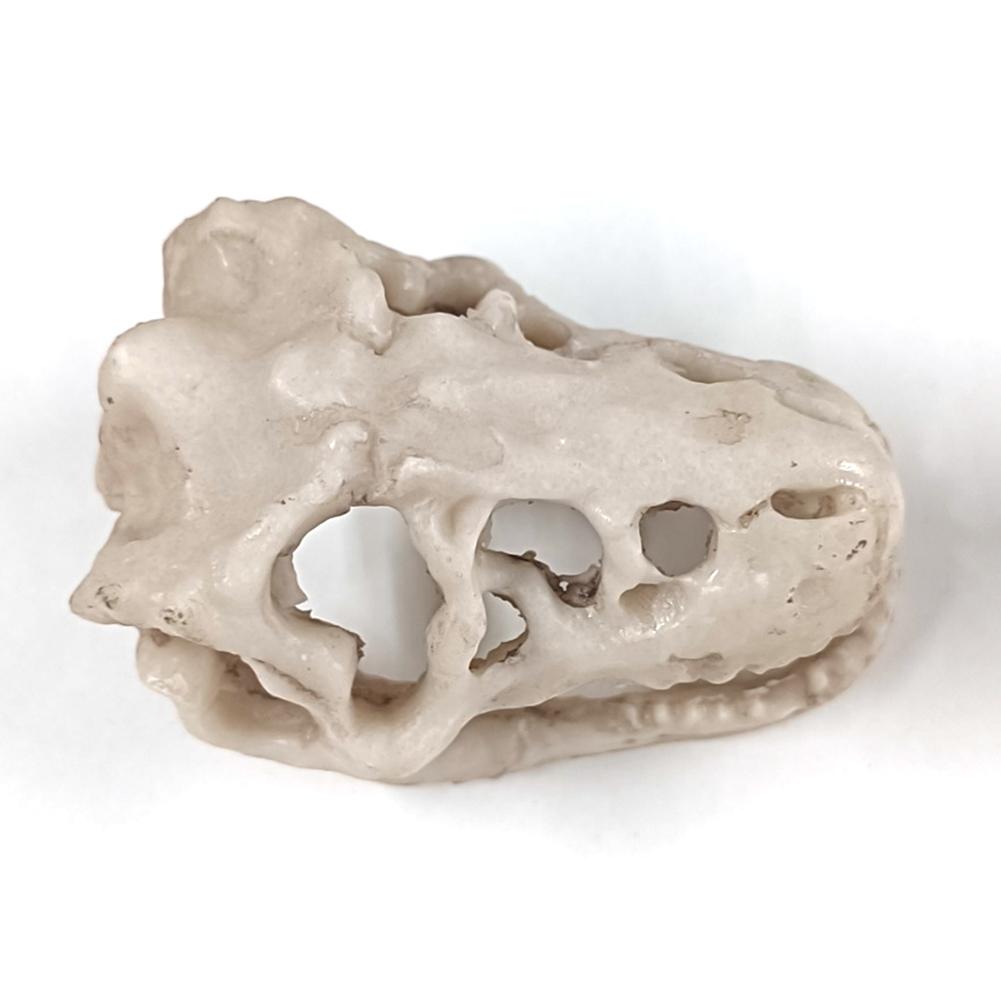 Resin Dinosaur Stone Statue Simulation Mini Crocodile Head Decoration Decorative Props Artificial Decor for Aquarium Landscaping