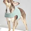 CROOKTHECHIHUAHUA Hound Pattern Harness - GREEN