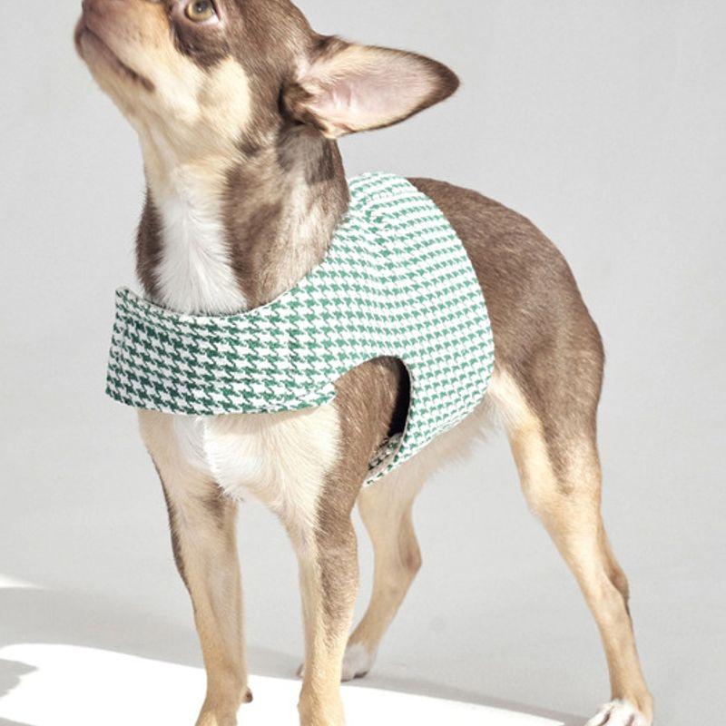 CROOKTHECHIHUAHUA Hound Pattern Harness - GREEN