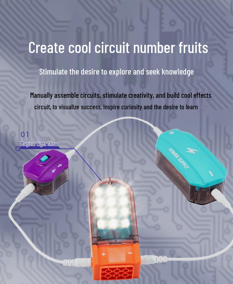DIY Electric Circuit Building Set for Kids – Physics and Science Experiment Toy
