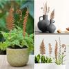 Metall-Blumenbeet-Stäbe: Gartenkunst und Pflanzen Dekoration für den Außenbereich