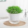 Self-absorbing Flowerpot with Absorbent Rope Transparent Water Level Flowerpot Honeycomb Texture Plant Pot for Indoor Plants