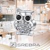 Owl Charm Pendant 925 Owl Bird Bead Charms Zirconia