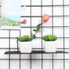 Home Wall Storage Rack with Hanging Basket for Small Items Storage