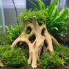 Aquarien Treibholz Dekoration Baumwurzel Verstecke für Fische und Garnelen Ruheplatz Laichplatz und Unterschlupf Natürliche Haltbarkeit